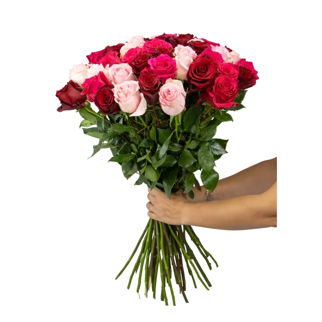 kytice ekvádorských růží 80 cm